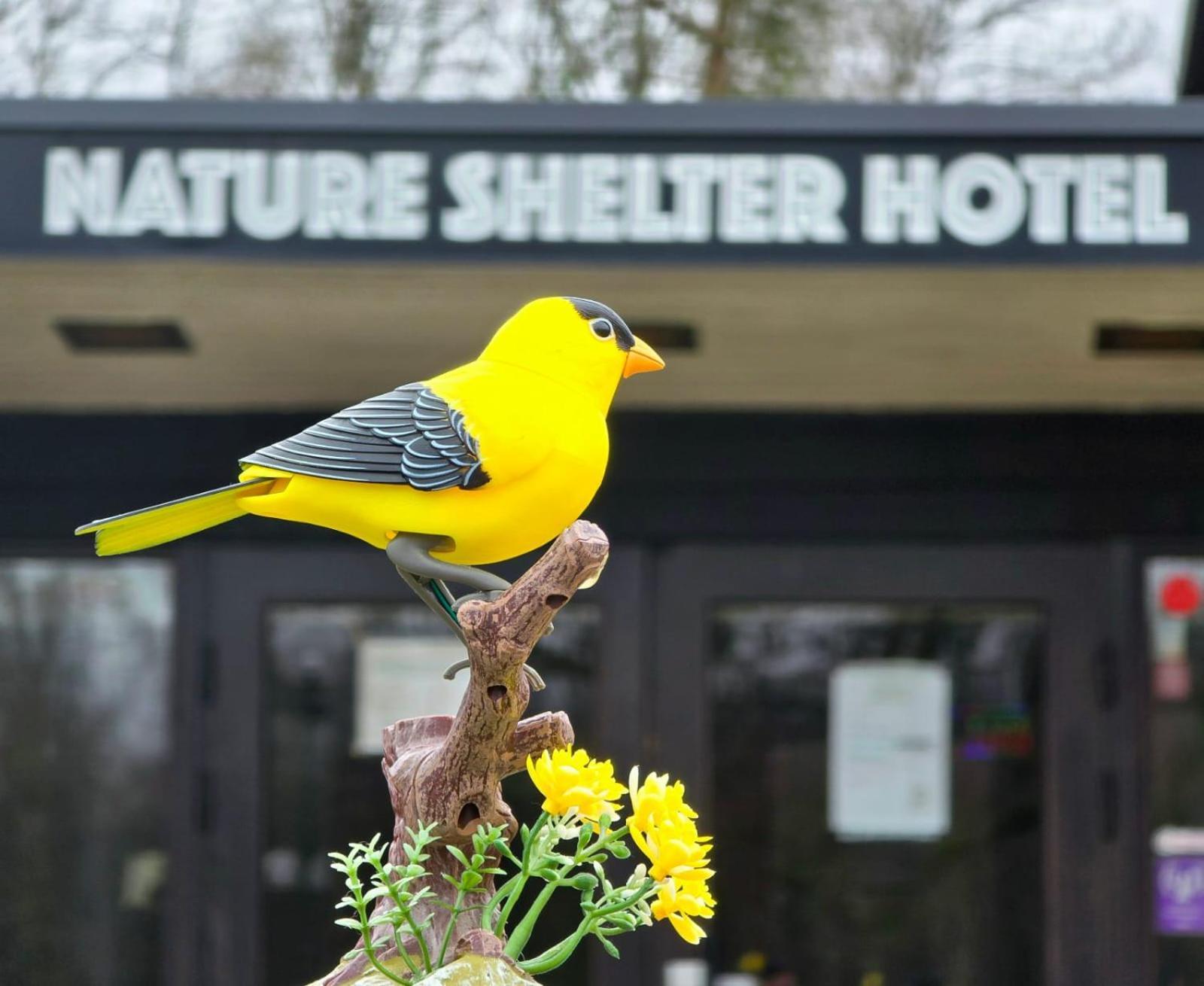 Nature Shelter Hotel Åsljunga Exterior foto